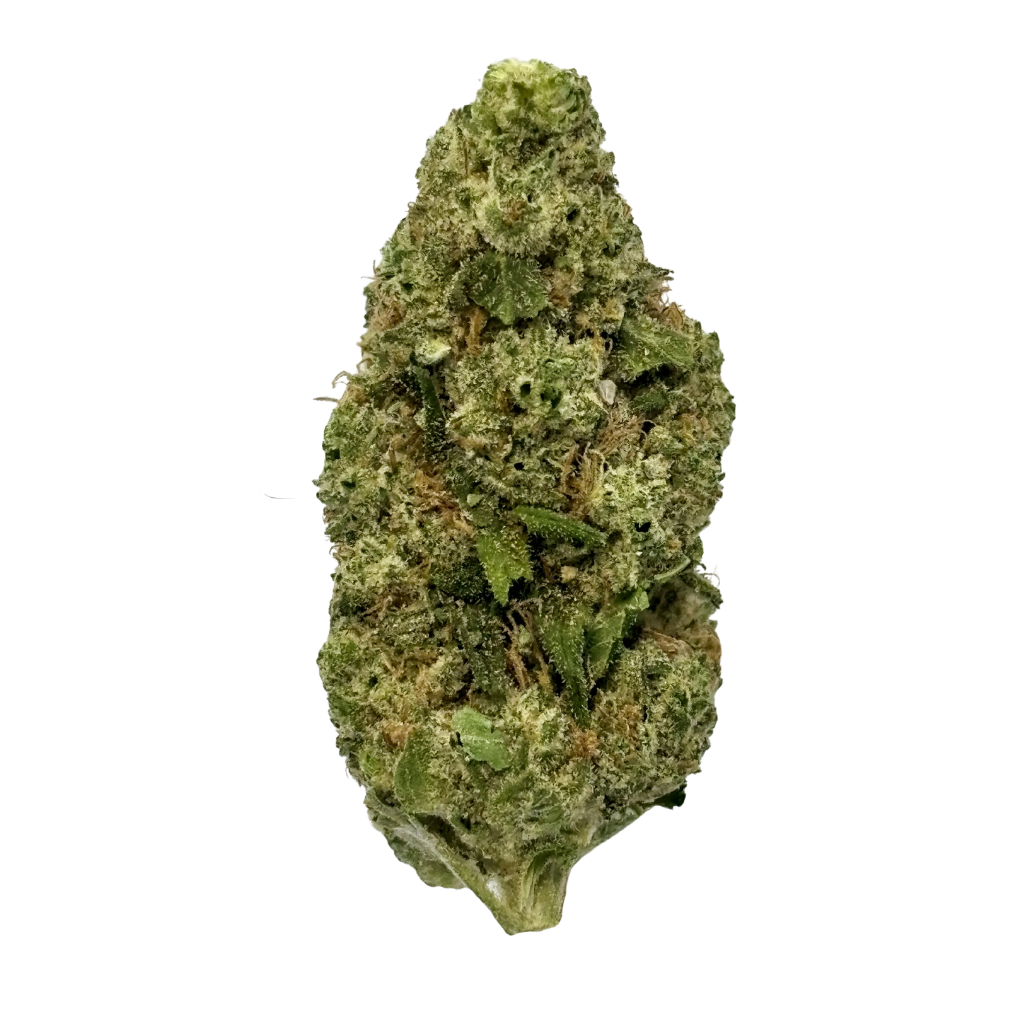 CARBON | PEBBLE WRECK | BULK FLOWER