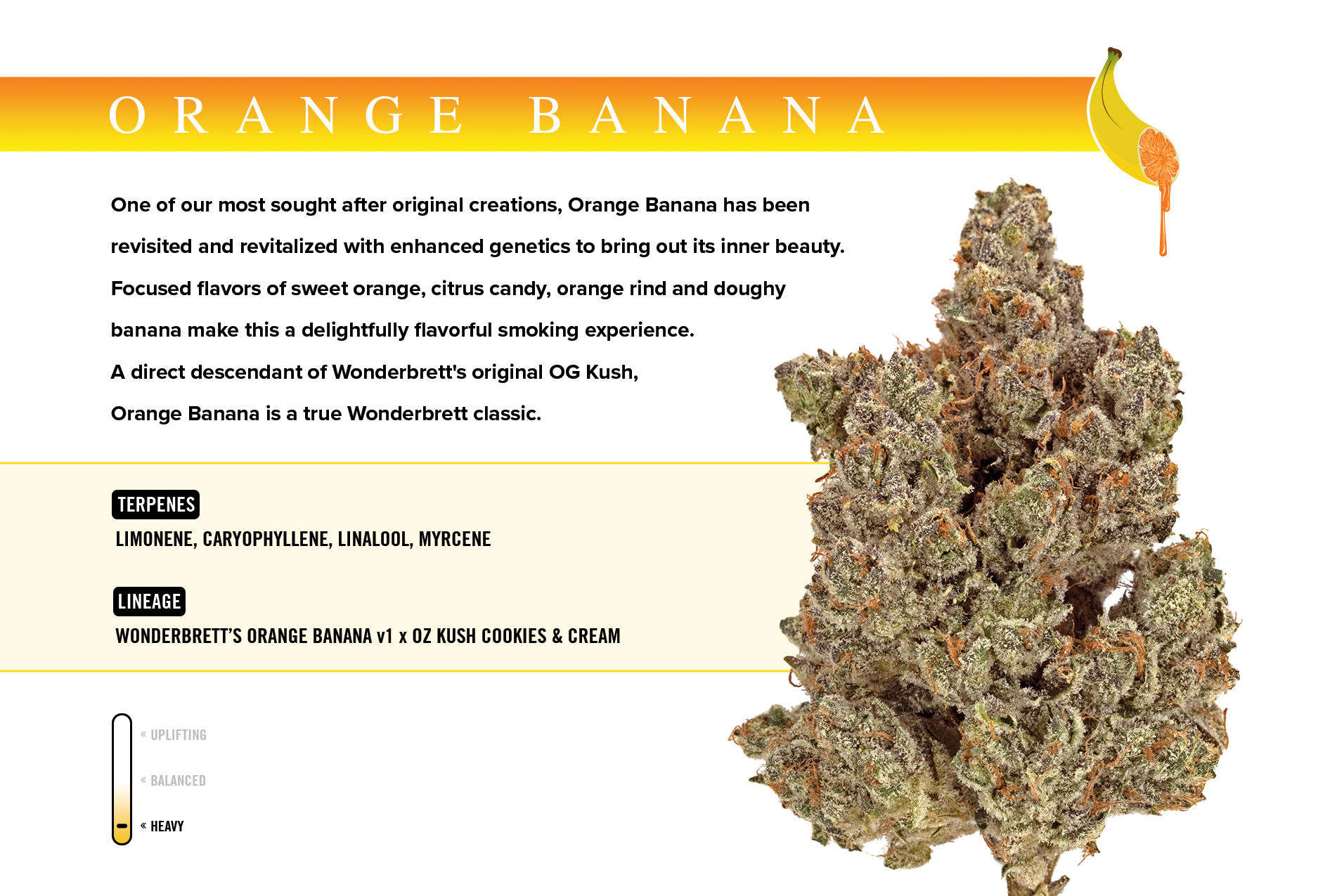 Buds | Orange Banana |