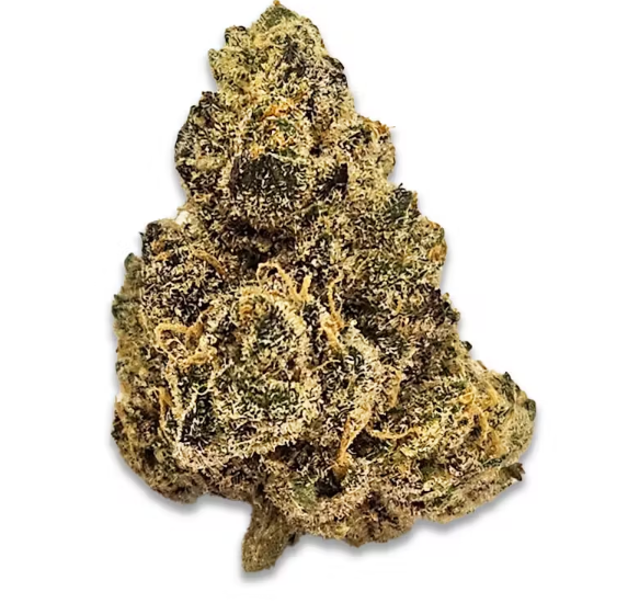 Sunshine Daydream BX1 - Flower - Theory Wellness