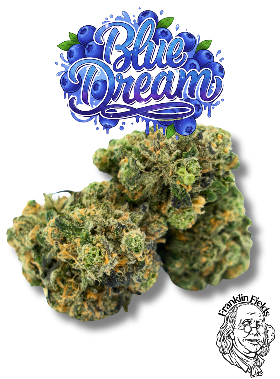 FRANKLIN FIELDS | BULK FLOWER | BLUE DREAM