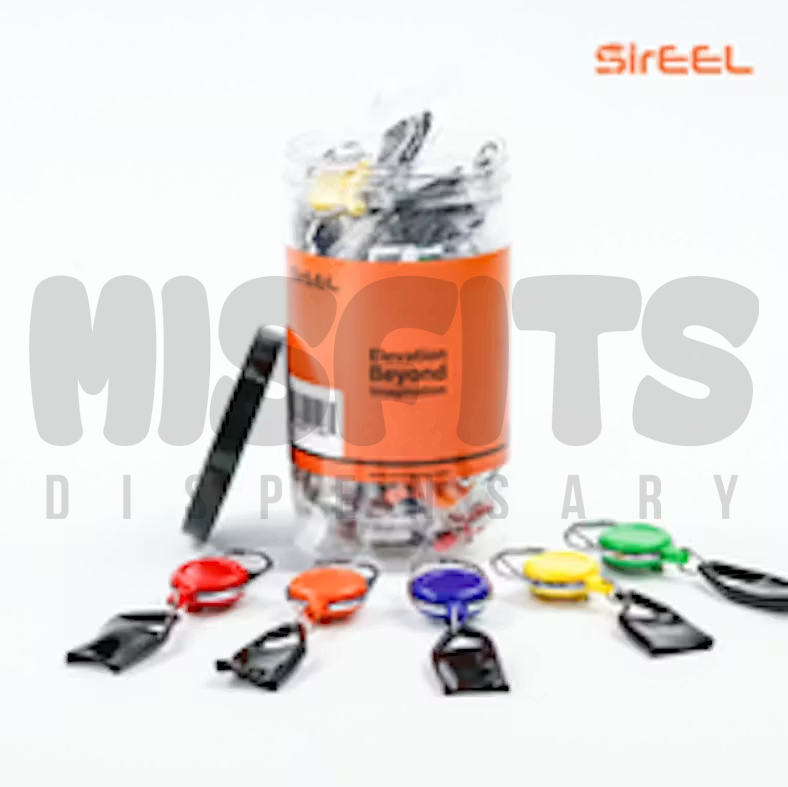 Lighter Leash in Assorted Colors