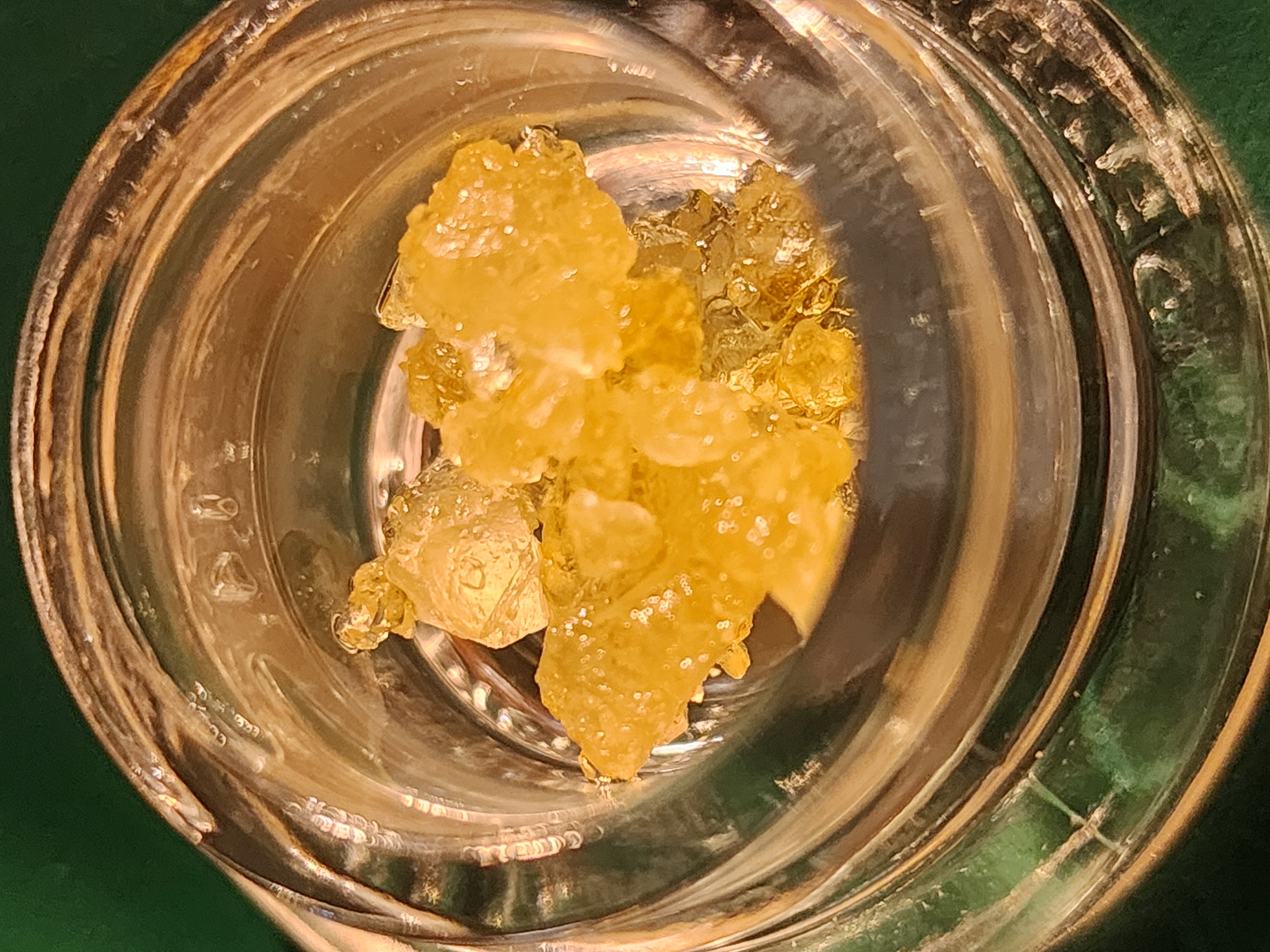 Mimosa