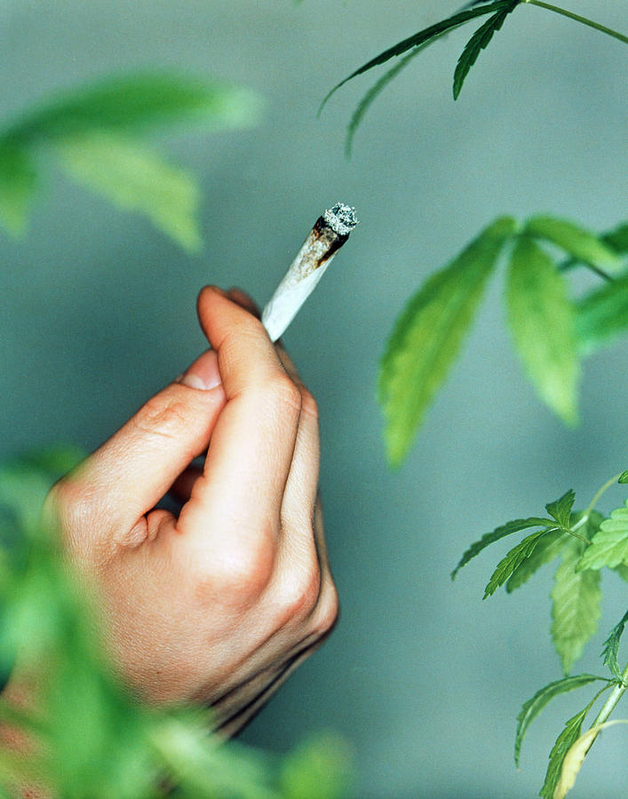 Jade Joint Hand