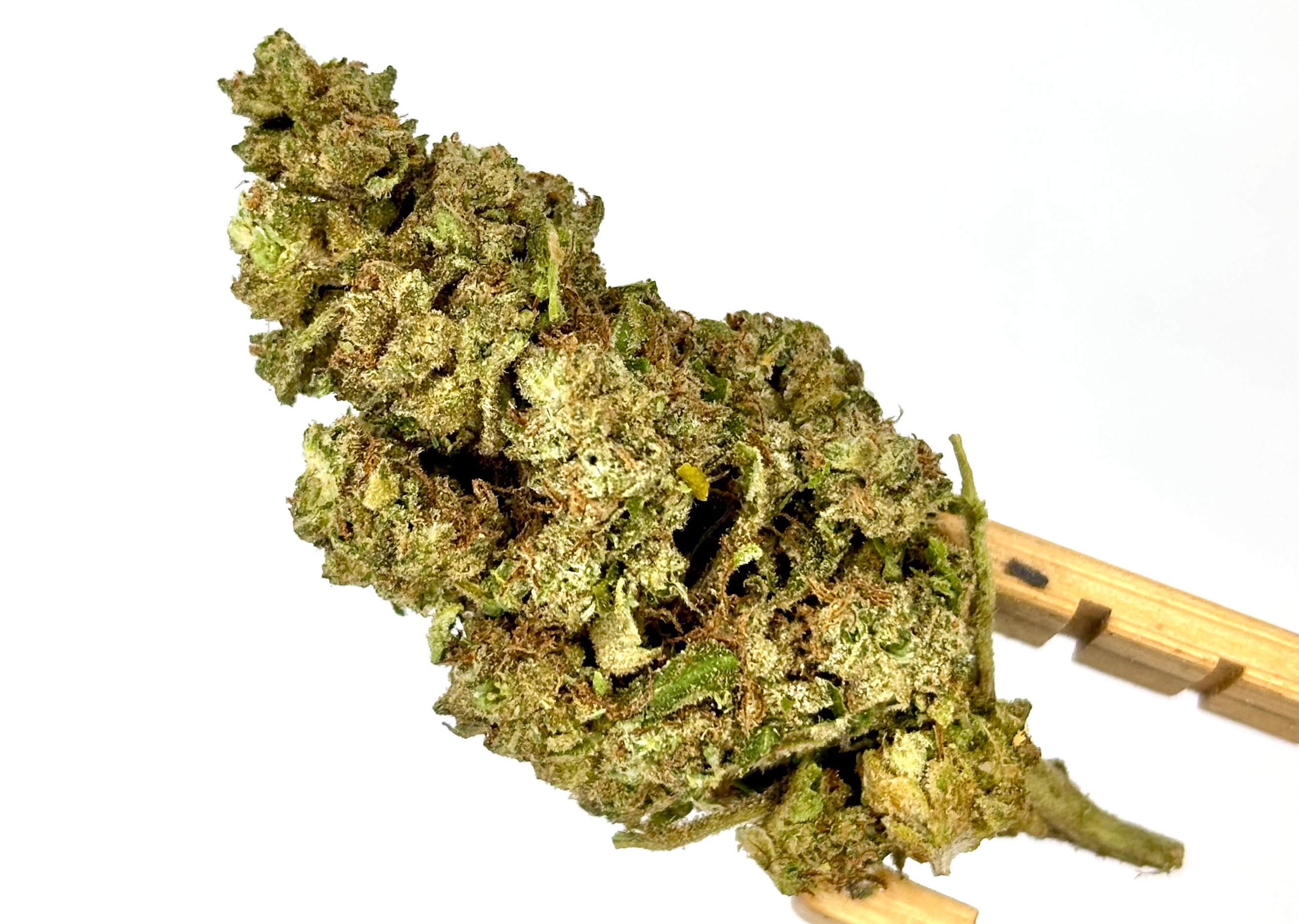 Sour Garlic Margie | Bulk Flower | White Tier