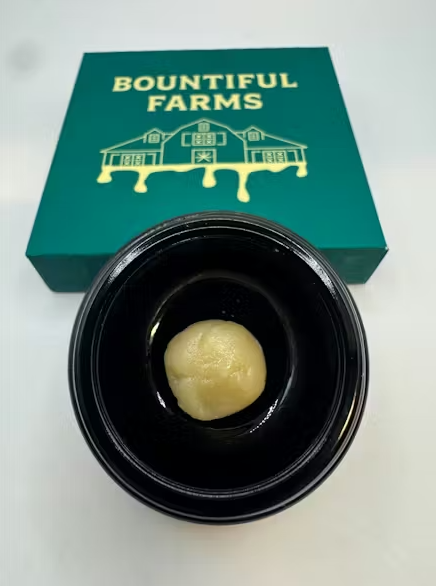 G-63 | Premium Live Hash Rosin