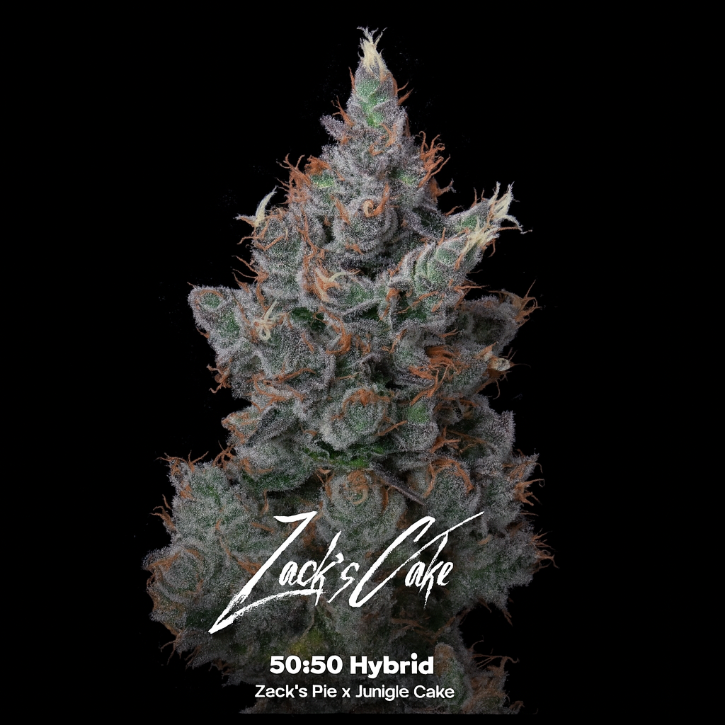 Zack's Cake THC 26.44%