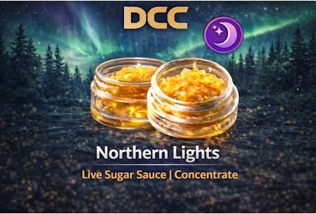 Northern Lights | Sugar Sauce | 2g