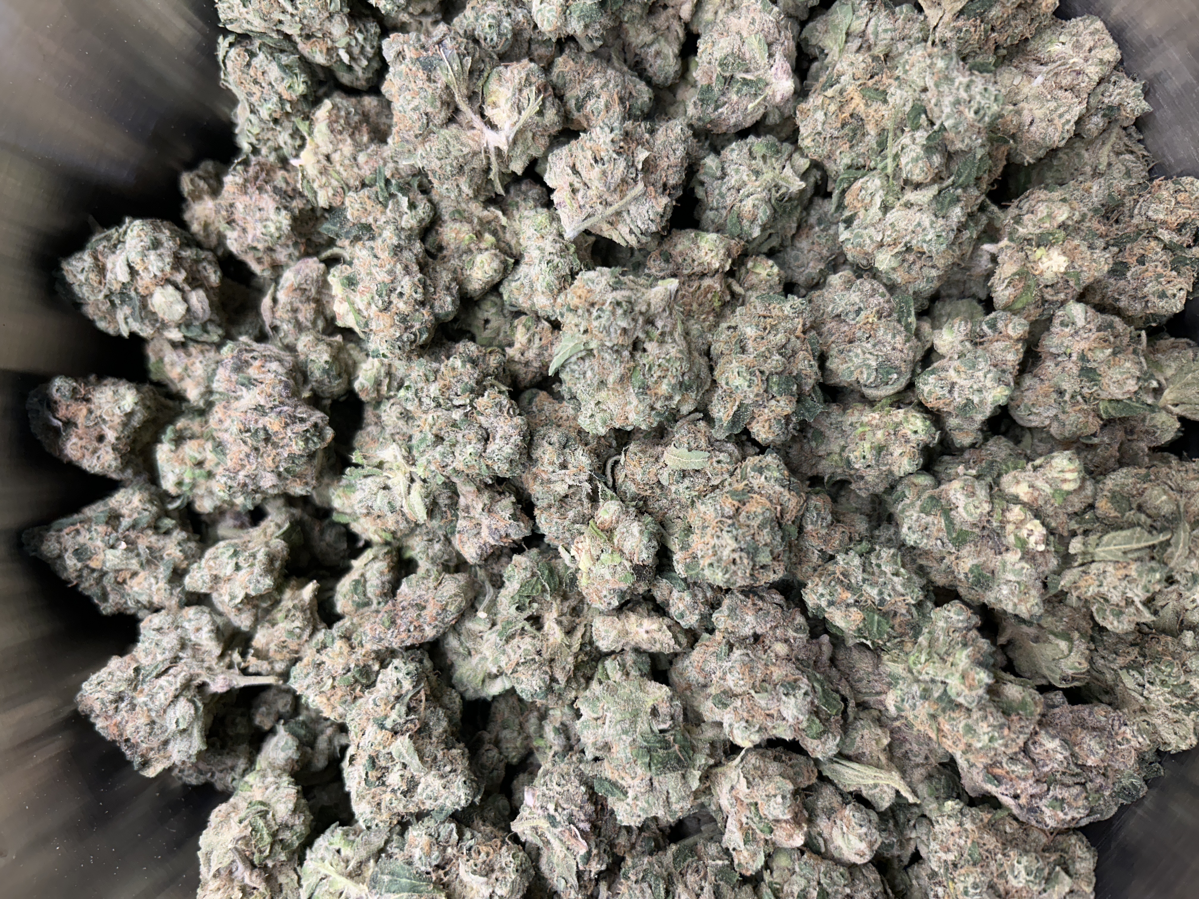 Berkshire Roots | Ice Cream Kush | Buds | 2.4%+ Terps (2g) product photo