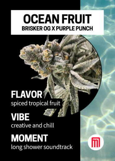 MOMENT Ocean Fruit 3.5g