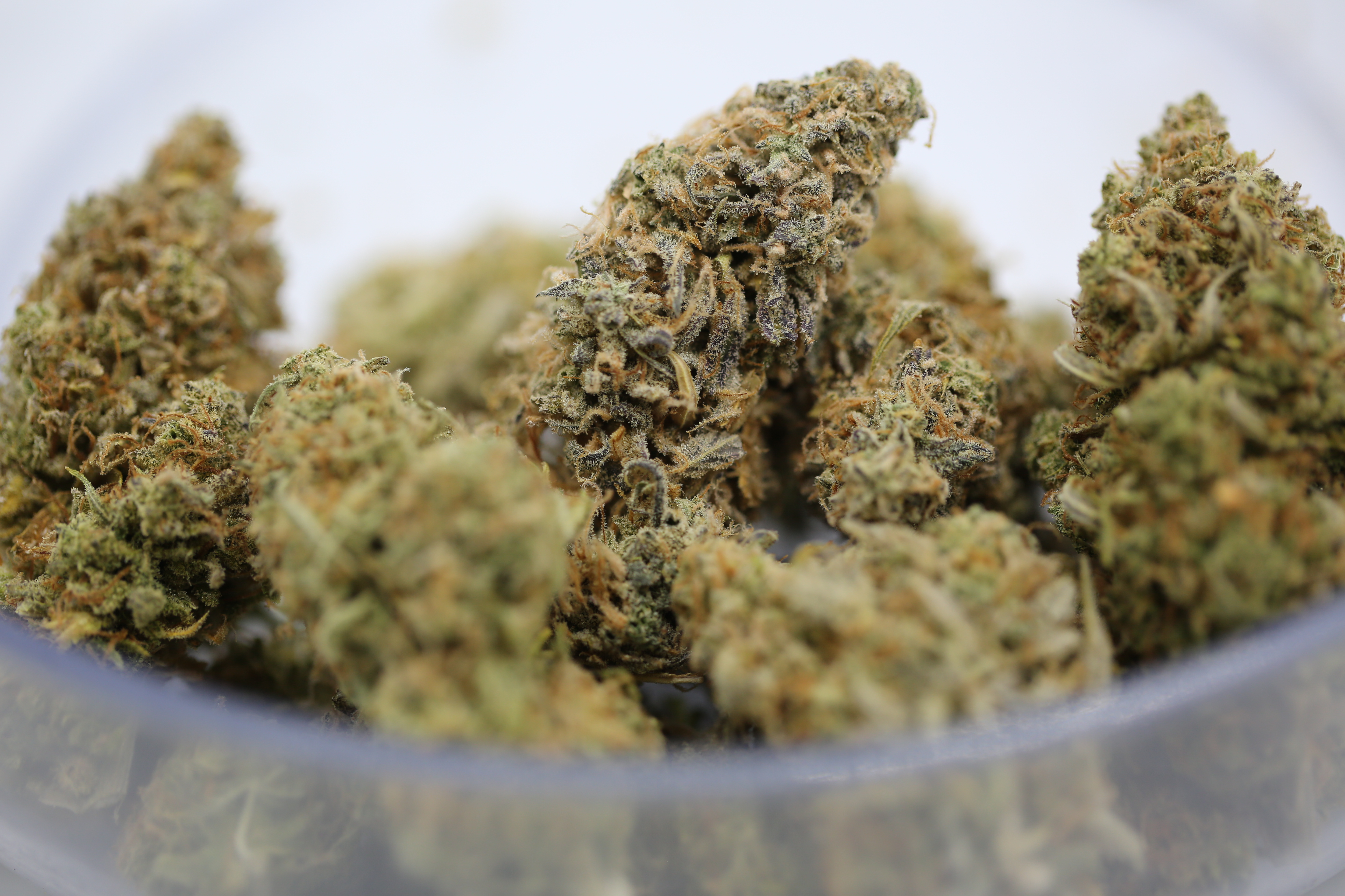 Mendo Breath - Bulk Flower