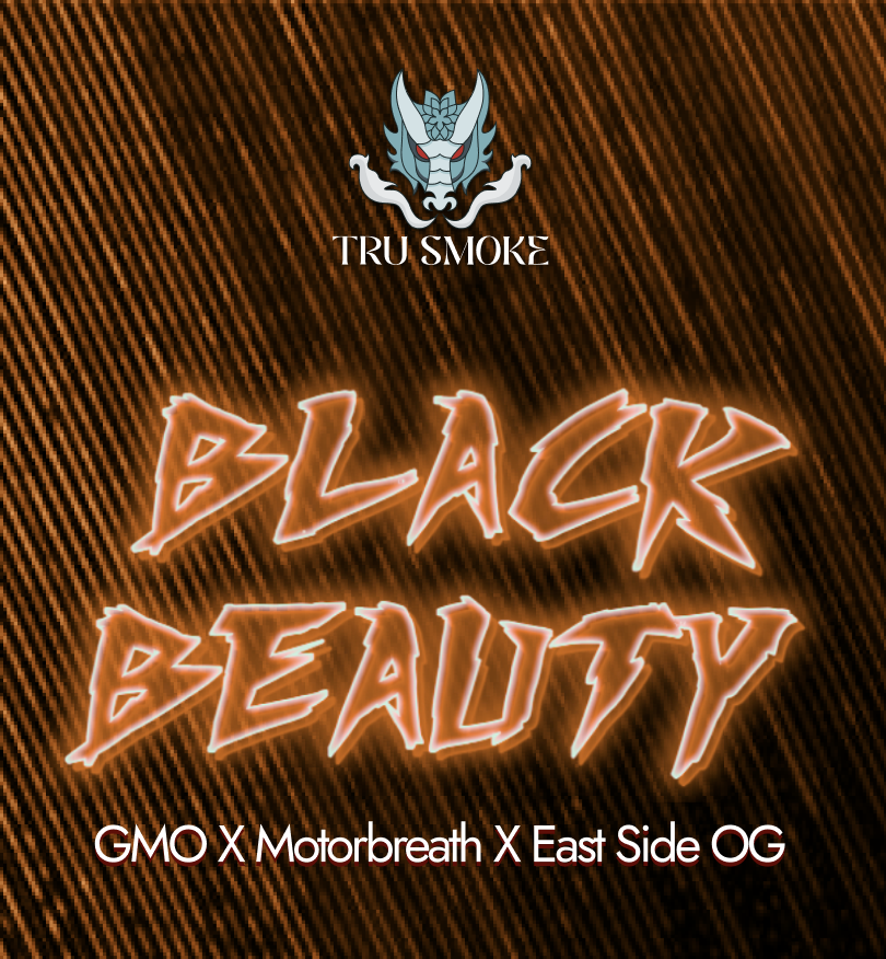TruSmoke | Black Beauty | 1g Straight Sided Pre-Roll