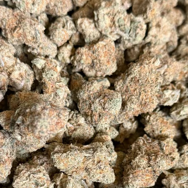 421 Mimosa