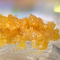 Dabble Extracts | Sugar Wax | Blue Dream (SH)