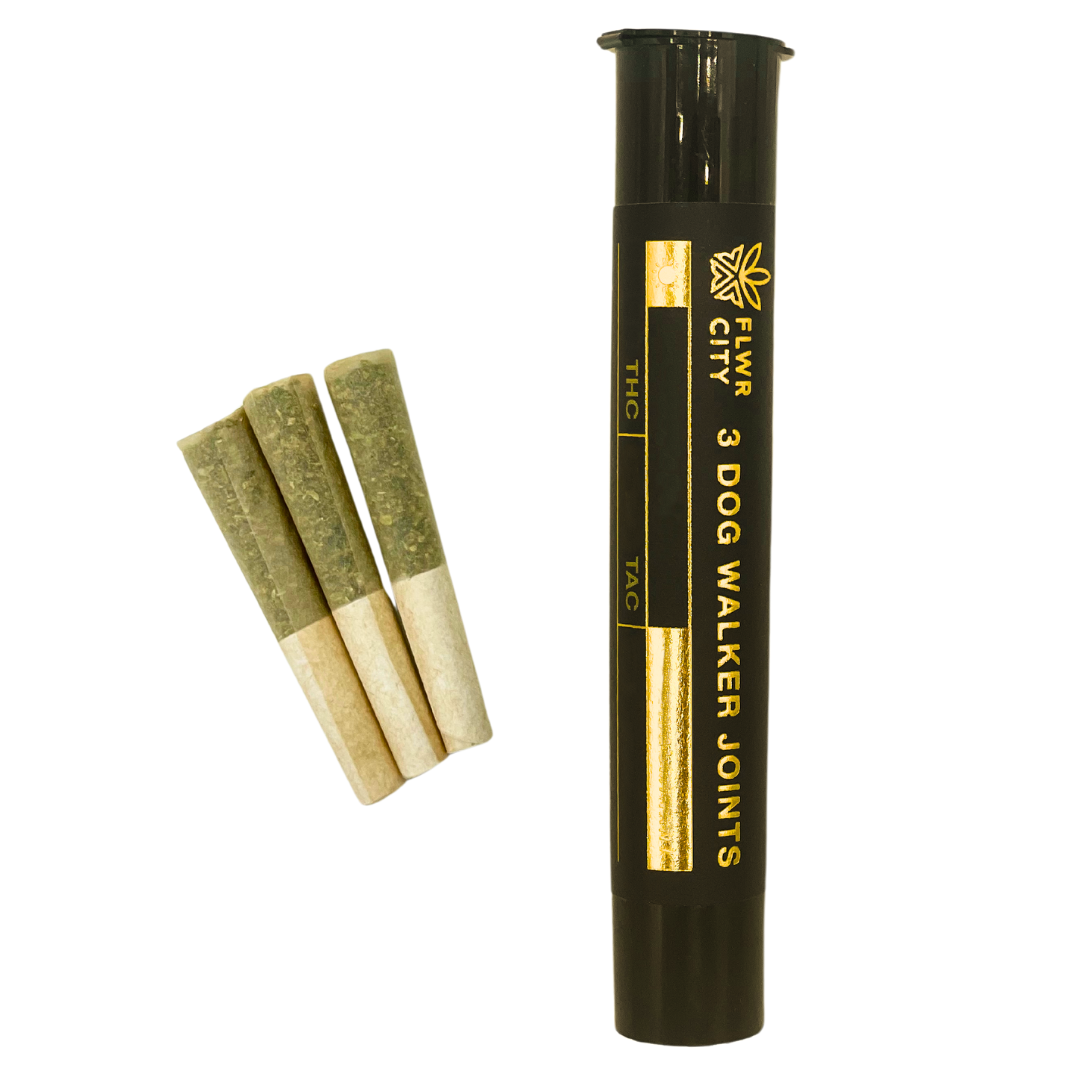 Gummi Bears Sh 3pk Dogwalkers