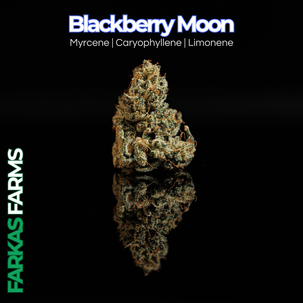 Blackberry Moon | 3.5g Bigs