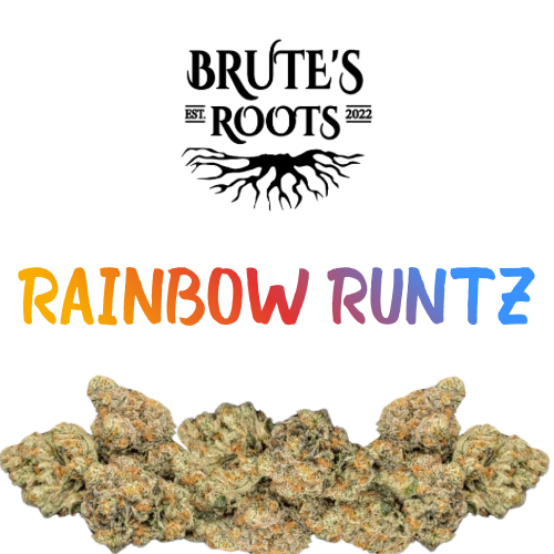 Flower - Rainbow Runtz - Brute's Roots - MED - 1oz in Egg Harbor Township