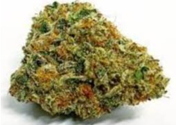Good Green | Sunset Sherbet | 3. Flower