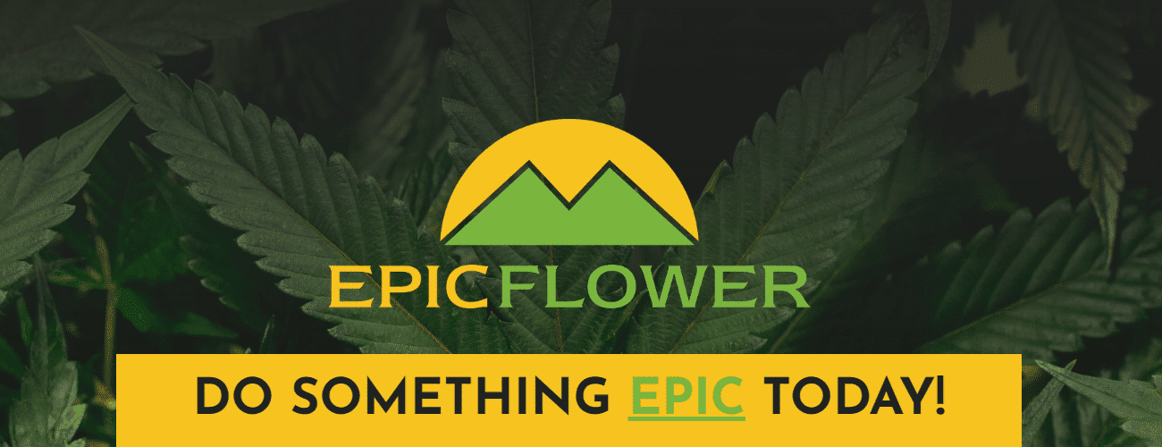 EPIC FLOWER - PREROLL - 10PK - 5G - INDICA - RED PAVE