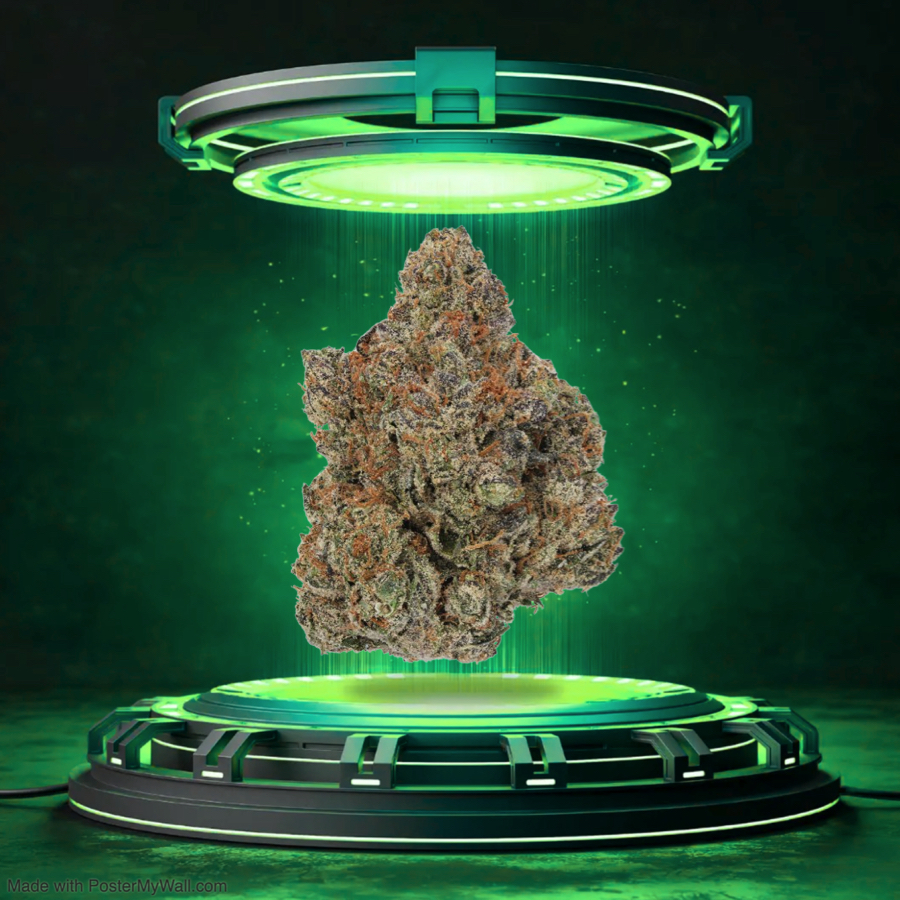 Root Beer Float - Flower