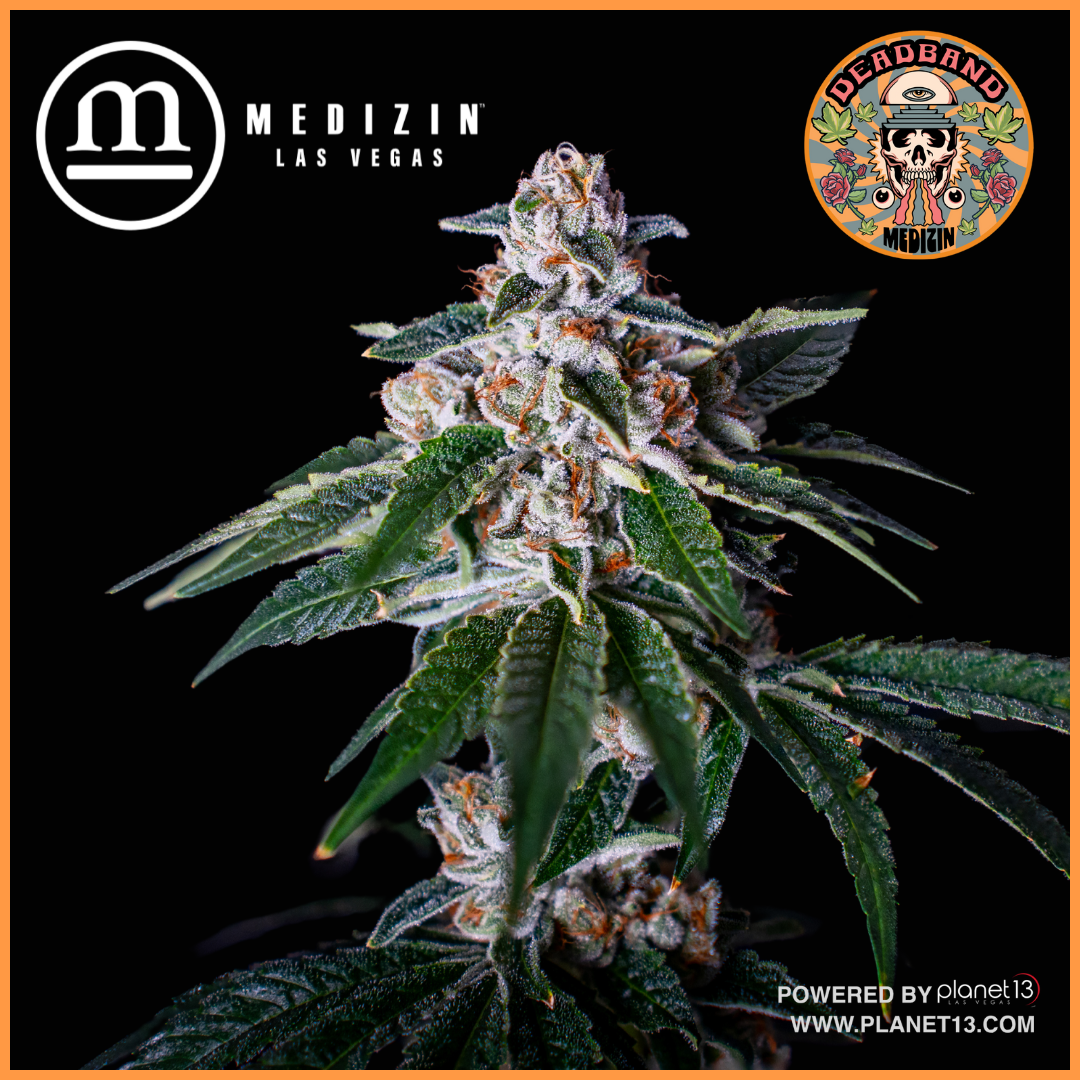 Medizin DeadBand 3.5g Prepack