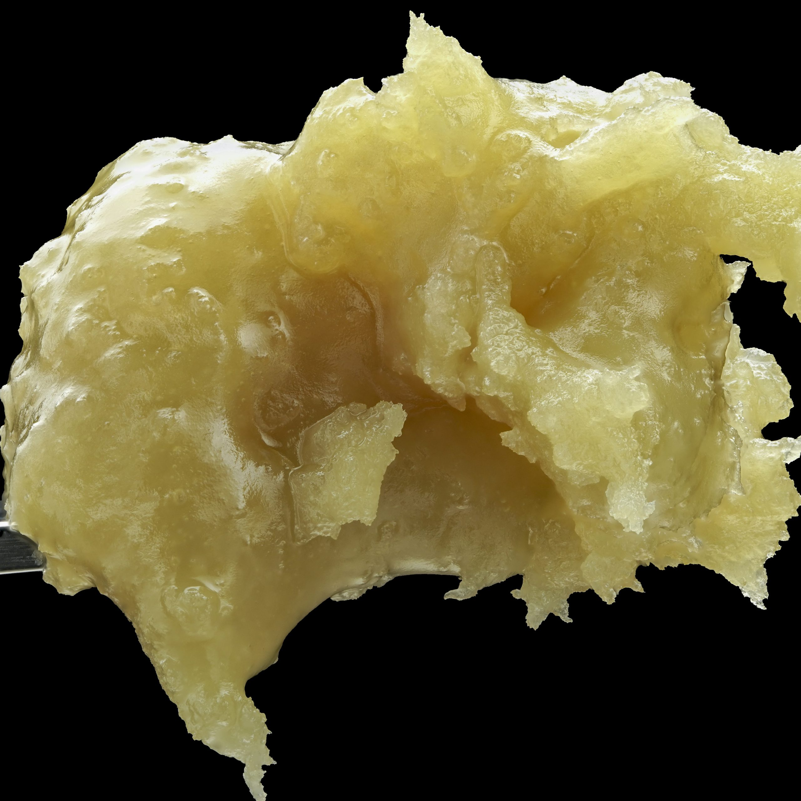 WOJO CO | TANGERINE LIMOUSINE | LIVE HASH ROSIN