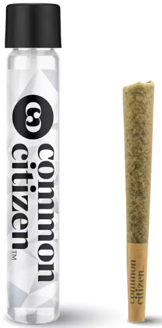 Z Lato - Preroll