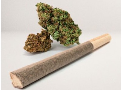 TruSmoke - Pre-roll Straight 1g - Z Clair