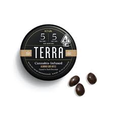 Terra Bites - Almond CBD 1:1 - 100mg