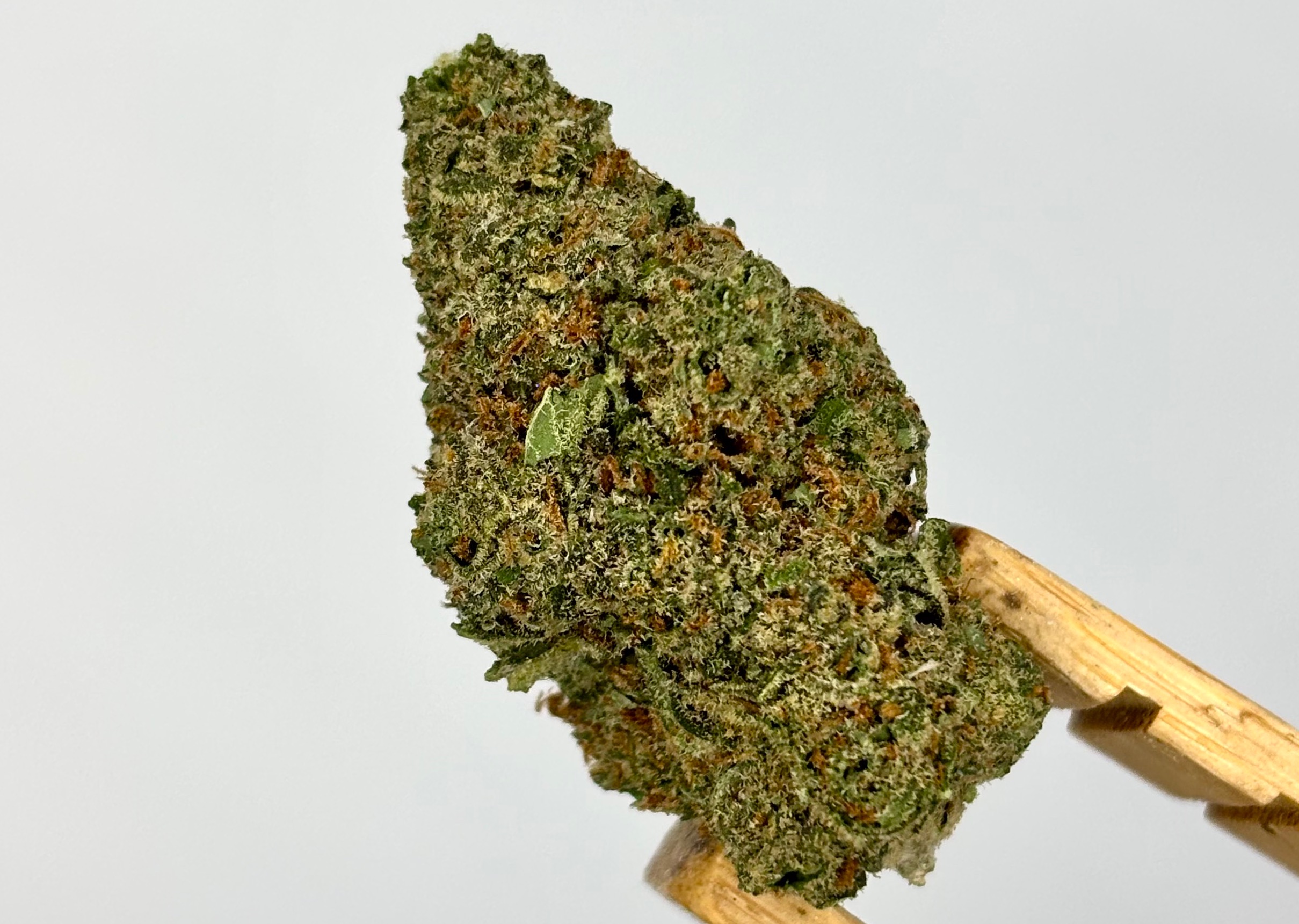 Gorilla Runtz Bulk Flower White