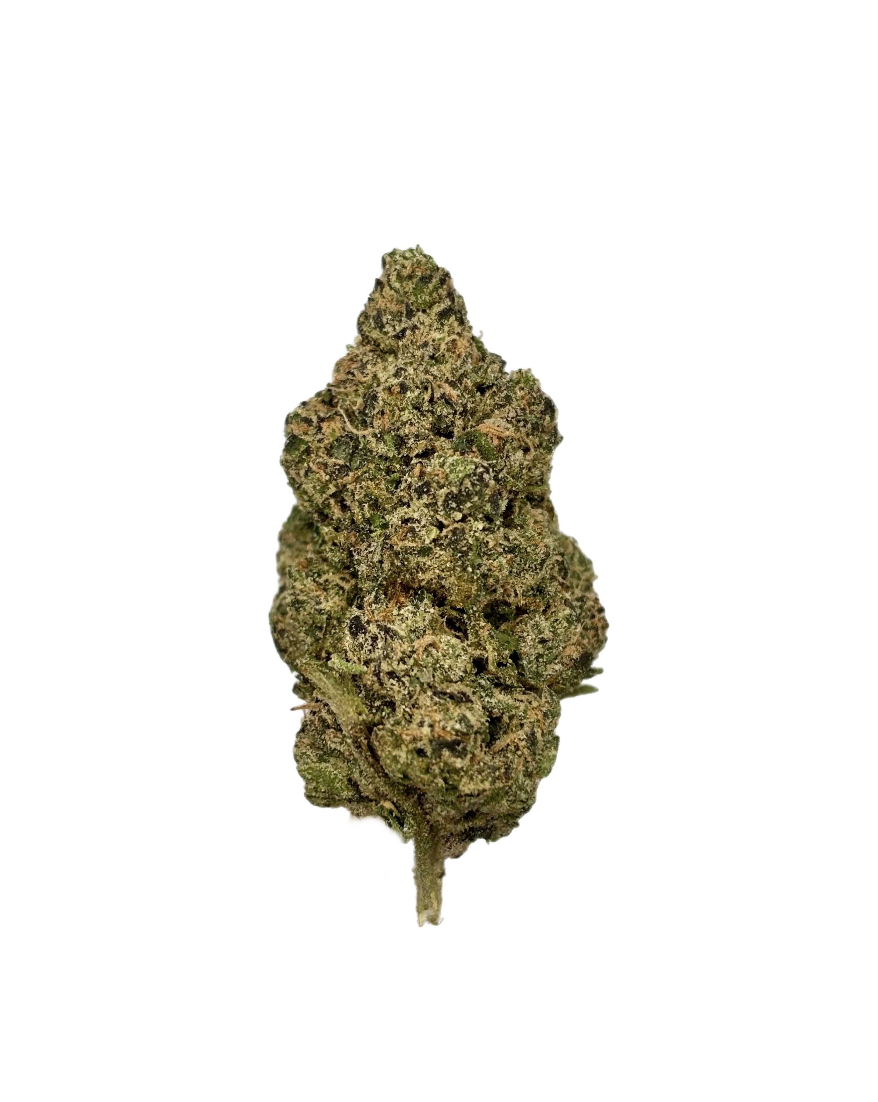 Lemon Cherry Gelato x Z Animal | Bulk Flower | Yellow Tier