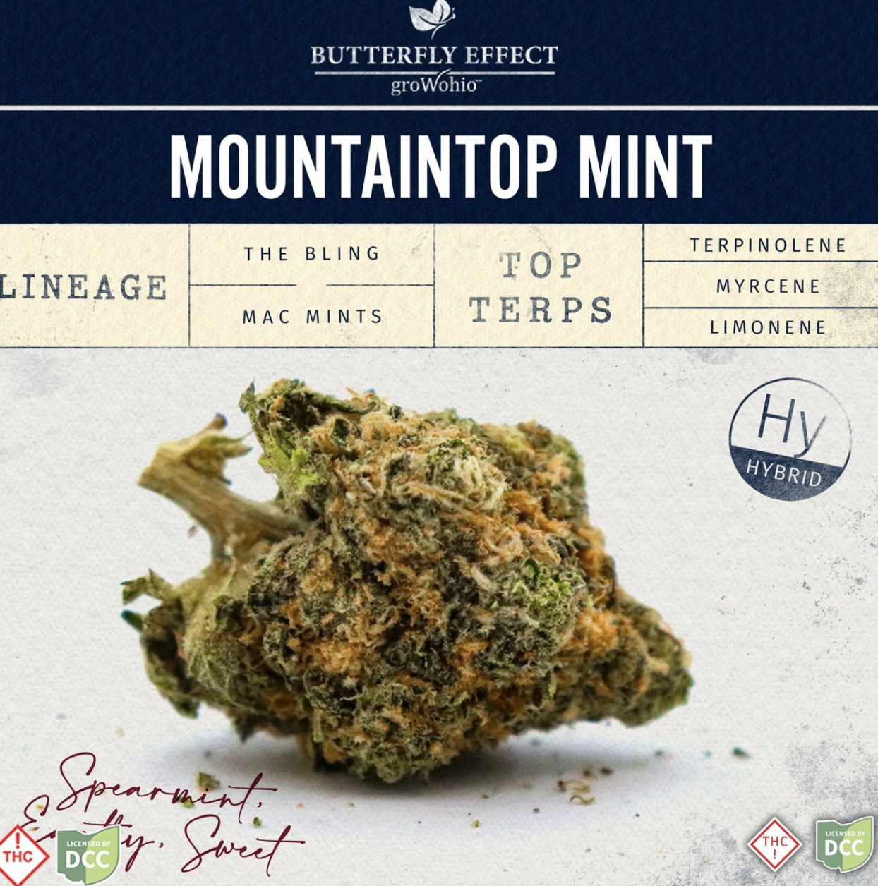 Grow Ohio Mountaintop Mint