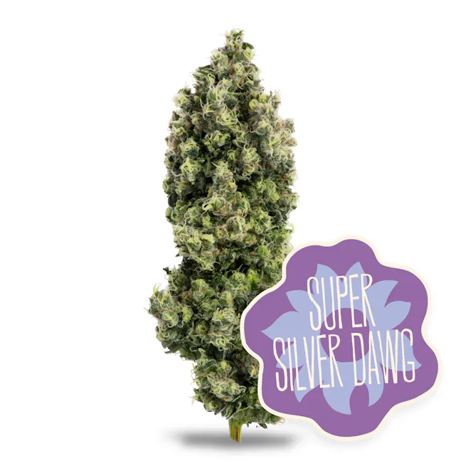 Super Silver Dawg  3.5g / PrePack