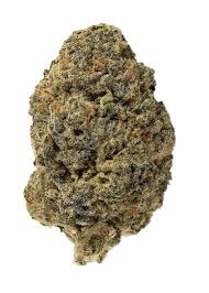 Hammon Tree Growers Cream Smoothie Flower