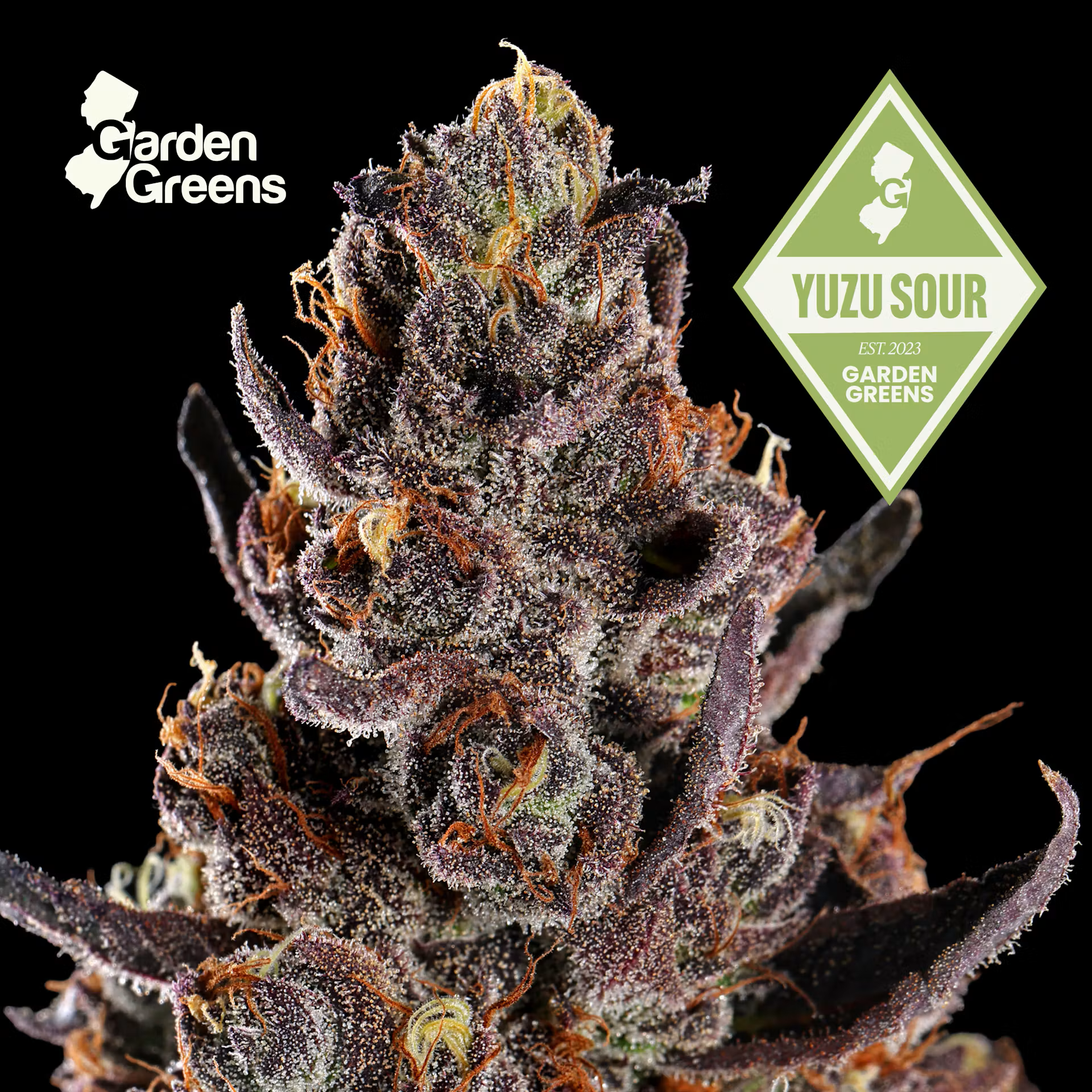 Garden Greens Yuzu Sour Flower (REC)