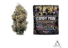 Society C Candy Mob Pre Packaged