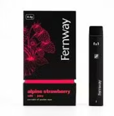 Alpine Strawberry |  Disposable