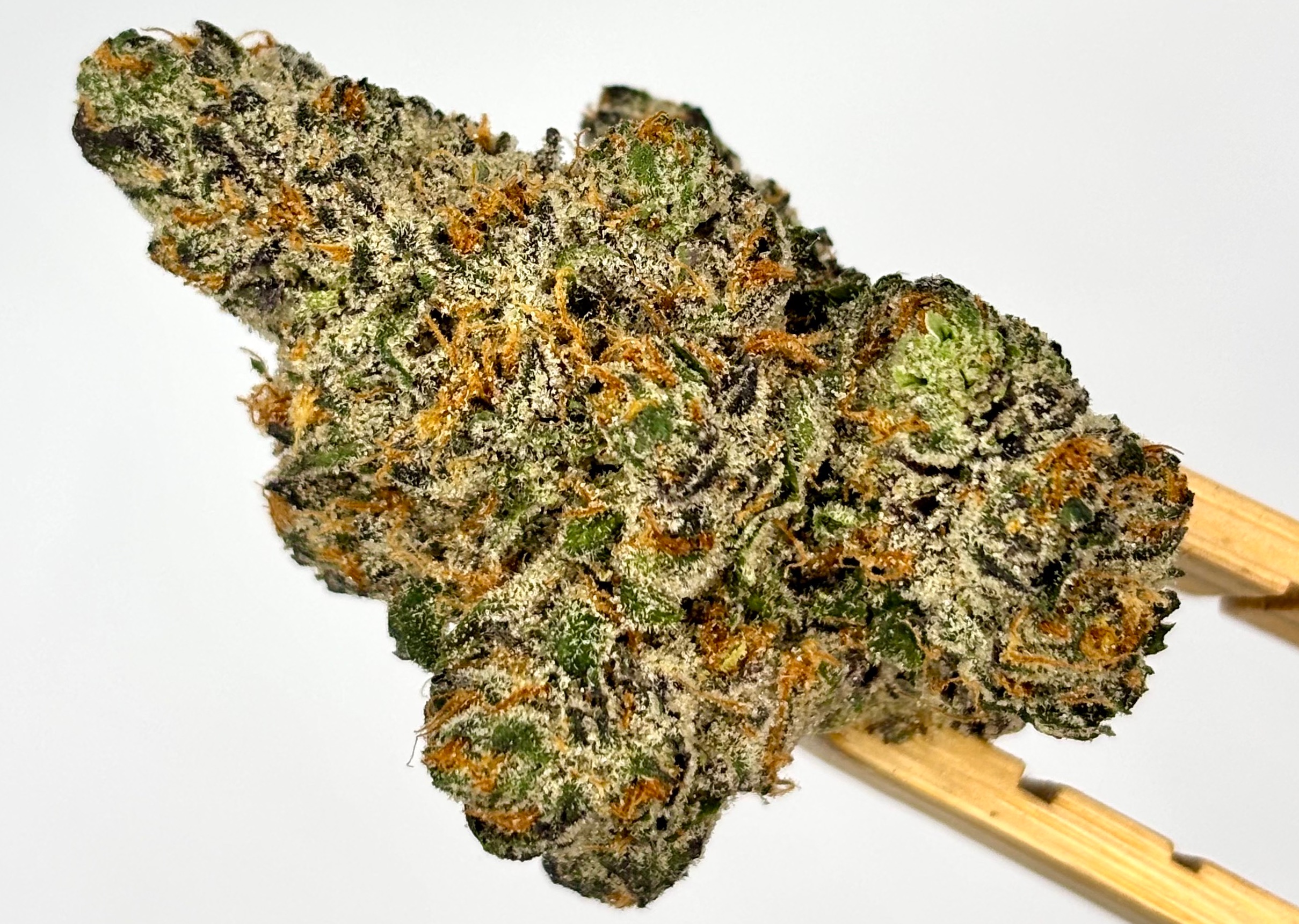 DogHouse | Runtz Carlton | Bulk Flower | Platinum Tier