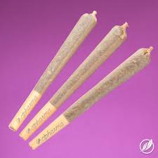 GMO | Pre-Roll