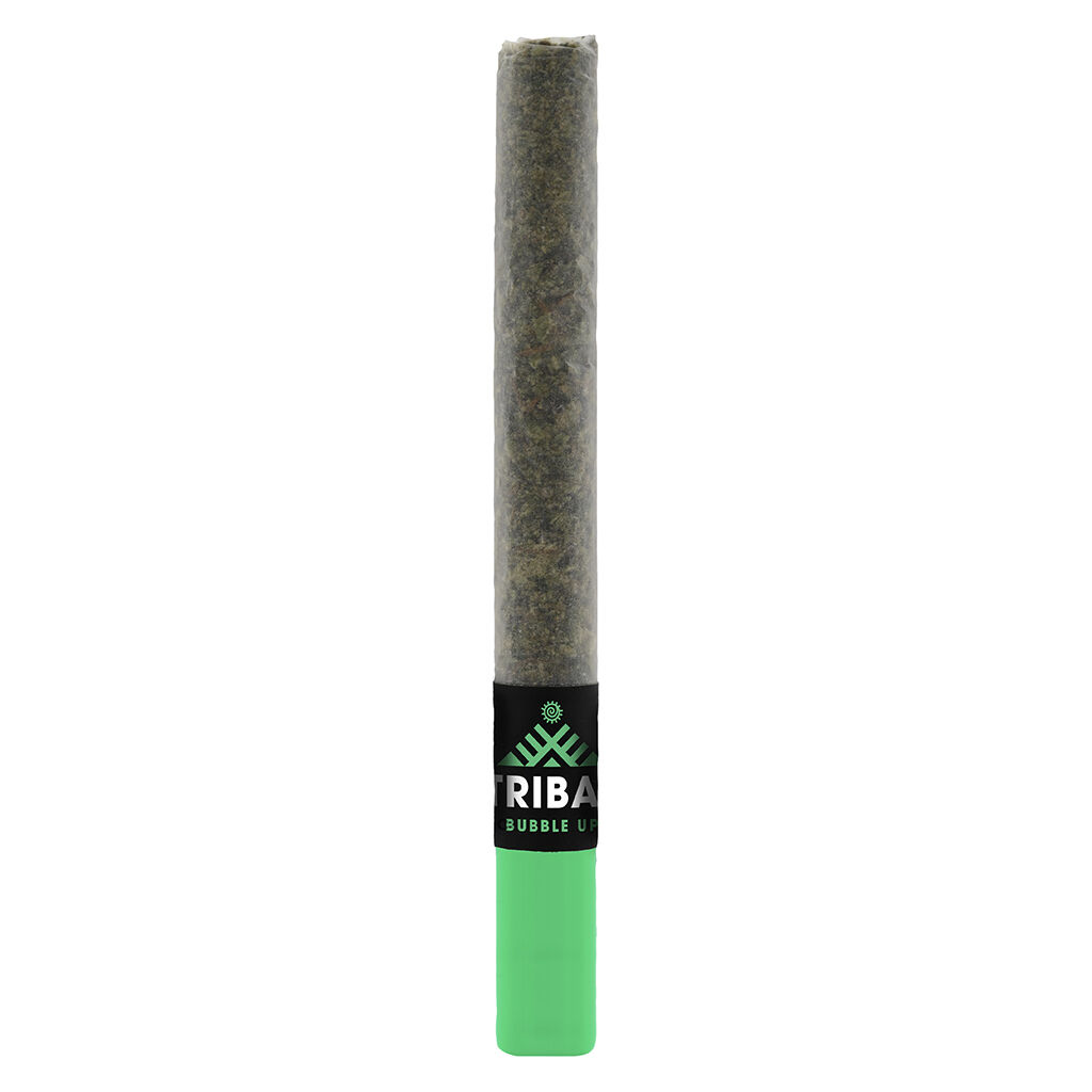 Tribal - Bubble Up Ceramic Tip Pre-Roll - Indica - 1x1g - 3.1% TERPS!