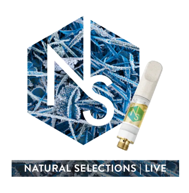 Cured Resin Vape (1000mg) Crunch Berries