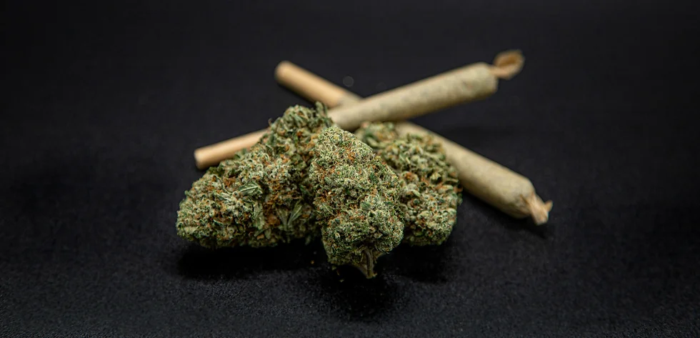 SILVER PINE Preroll 2pk | 1g