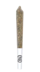1964 | Comatose Resin Infused Pre Roll | 1 x 0.5 g