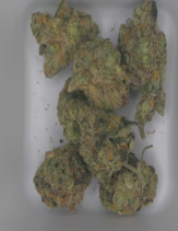 3.5g | Blueberry Muffins