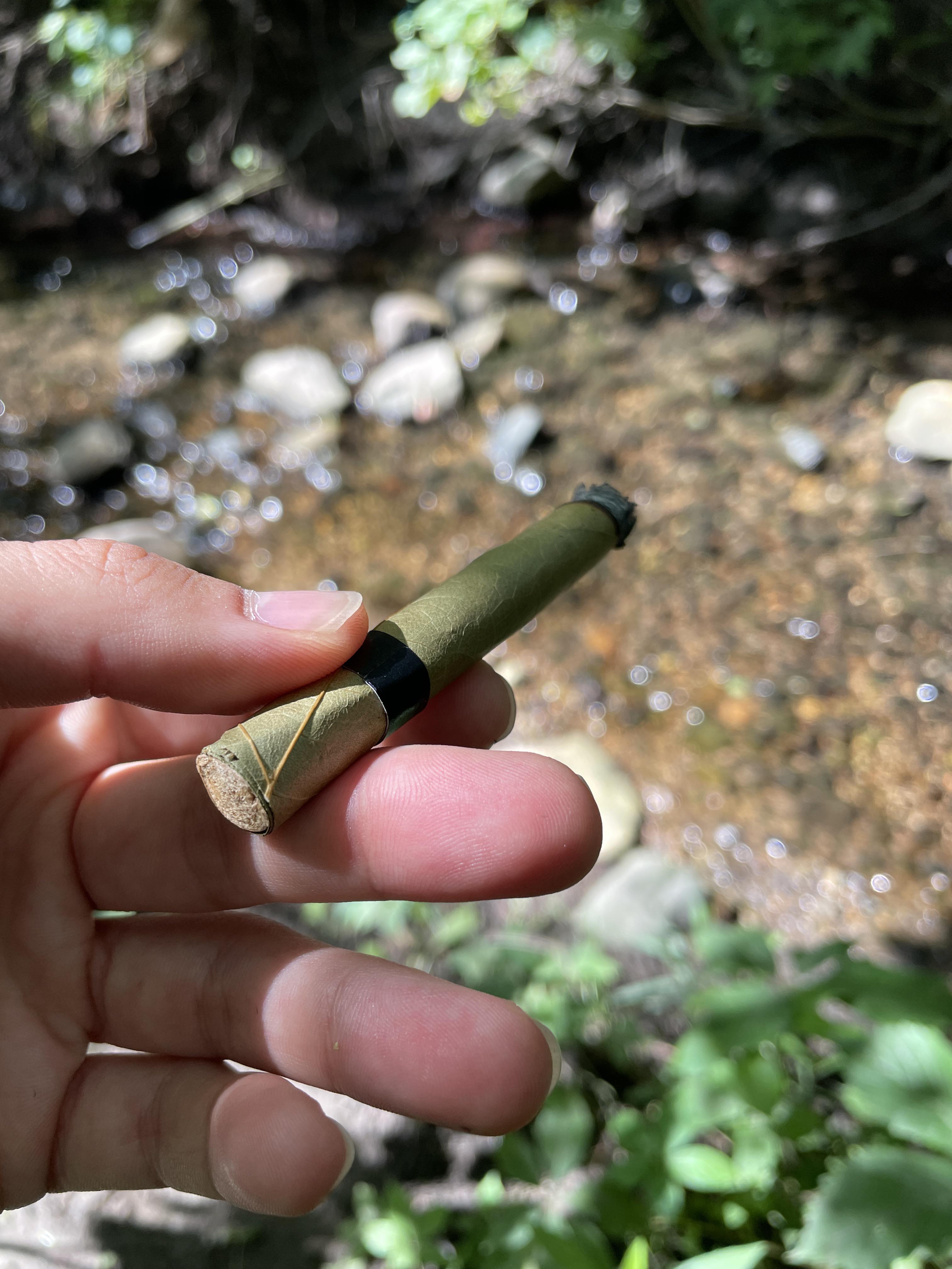 Sbf Infused King Palm Sativa