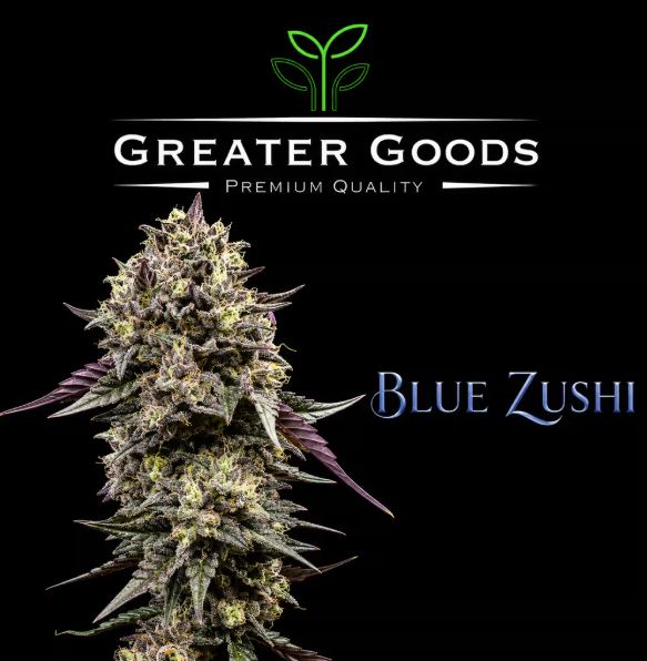 Blue Zushi