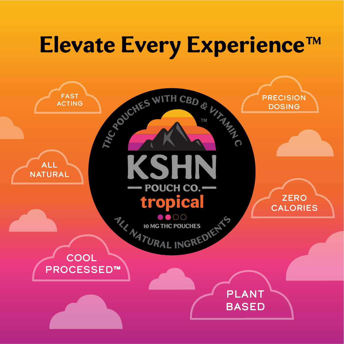 Tropical | KSHN 10mg THC Pouch [20ct]