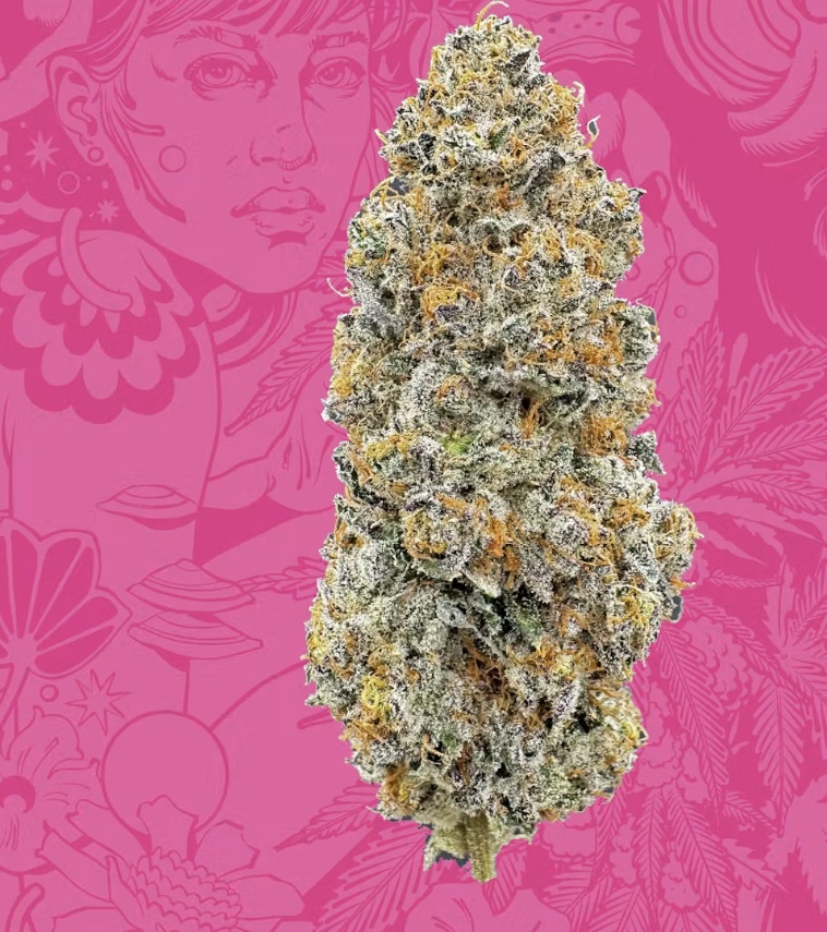 Sapura Bulk - Sherbert Honey - Sativa
