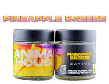 Animal House | Pineapple Breeze | Mixed-Light Flower | 3.5g by Animal House - flower cannabis product