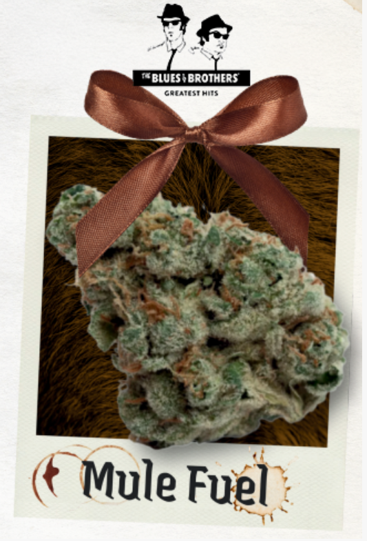 The Blues Brothers | Dub | Mule Fuel