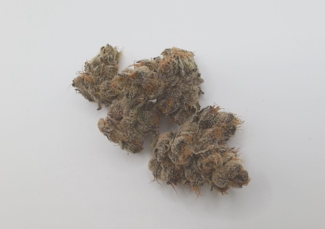 Mr. Purple Churro Bulk Flower